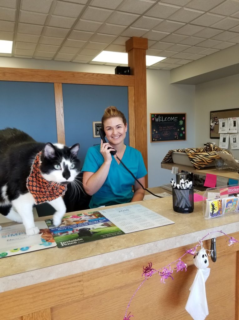 Burnsville Parkway Animal Hospital pet surgery desk