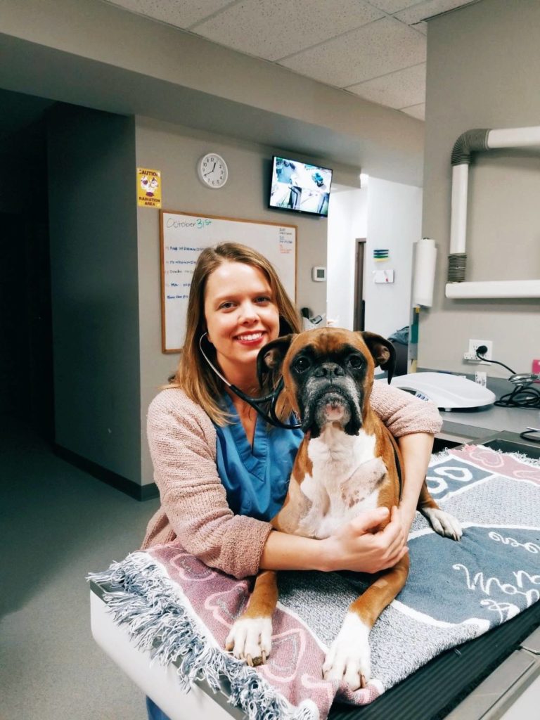 dog vaccination Burnsville