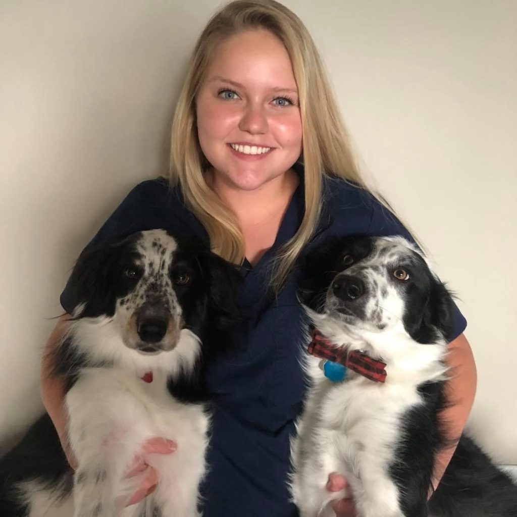 Haley Veterinary Assistant